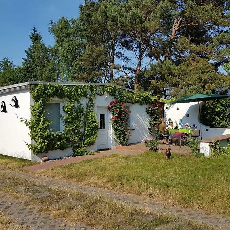 Ferienhaeuschen Villa Born Luaran gambar