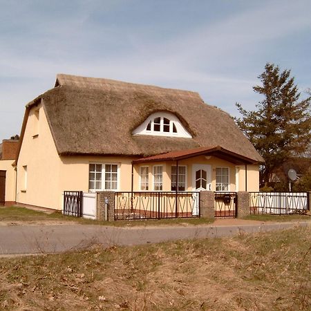 Ferienhaeuschen Villa Born Luaran gambar