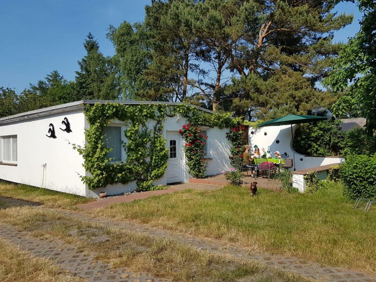 Ferienhaeuschen Villa Born Luaran gambar