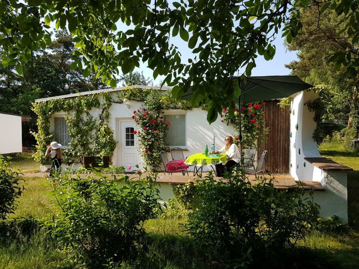 Ferienhaeuschen Villa Born Luaran gambar