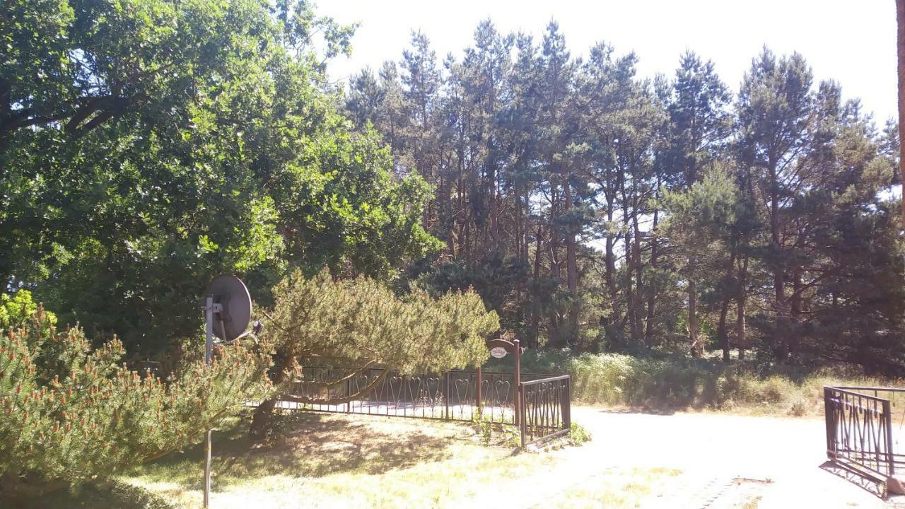 Ferienhaeuschen Villa Born Luaran gambar