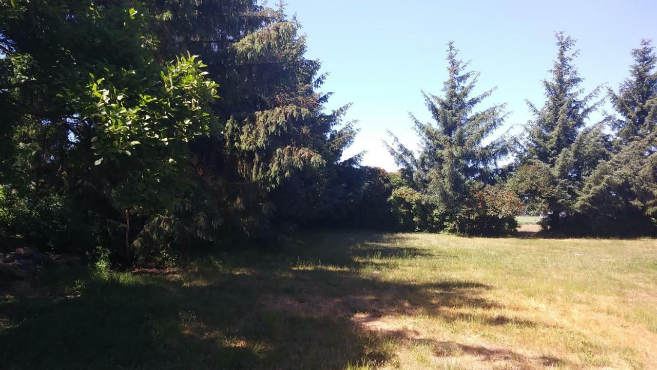 Ferienhaeuschen Villa Born Luaran gambar