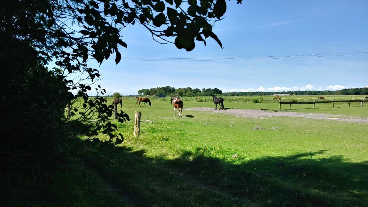 Ferienhaeuschen Villa Born Luaran gambar