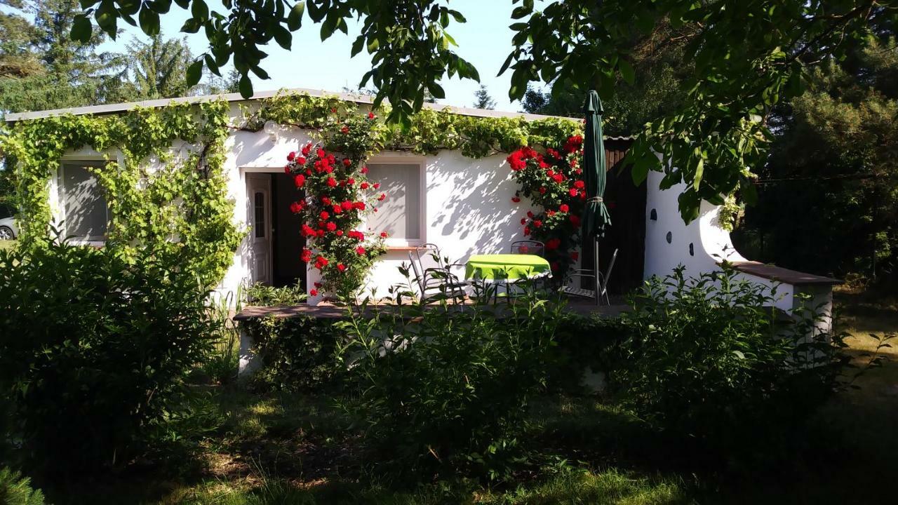 Ferienhaeuschen Villa Born Luaran gambar