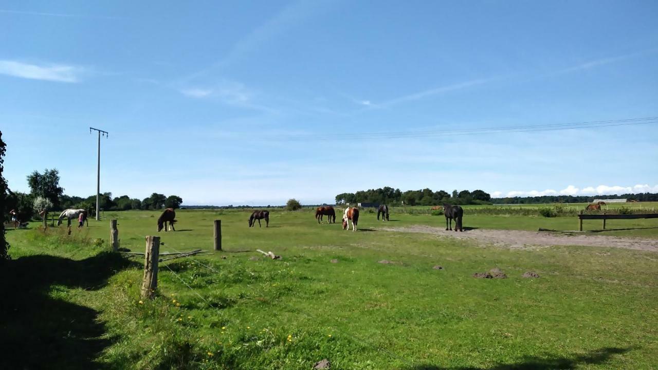 Ferienhaeuschen Villa Born Luaran gambar