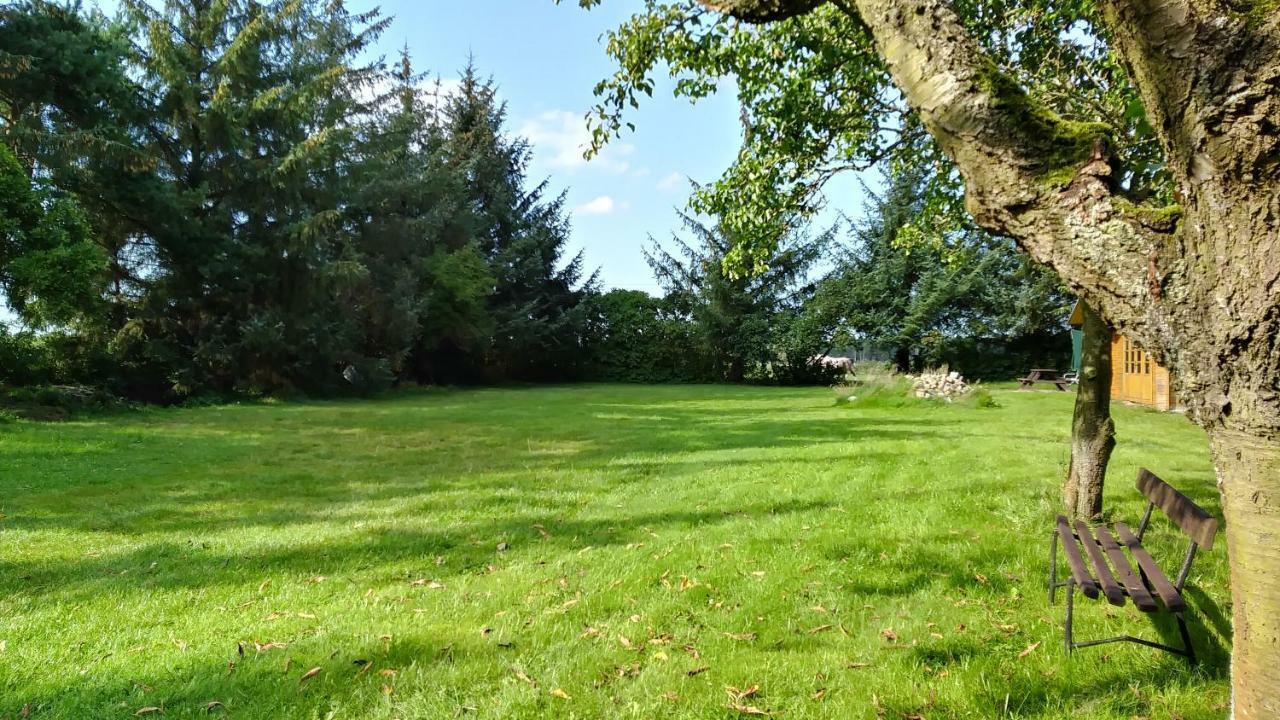 Ferienhaeuschen Villa Born Luaran gambar